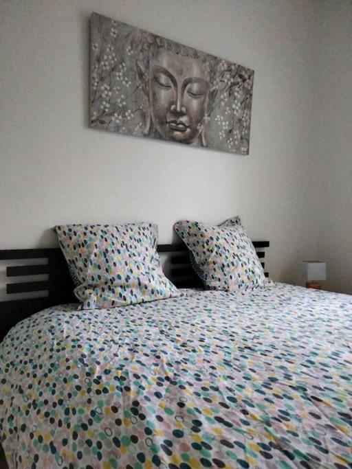 Le Cocon Zen Apartman Voiron Kültér fotó